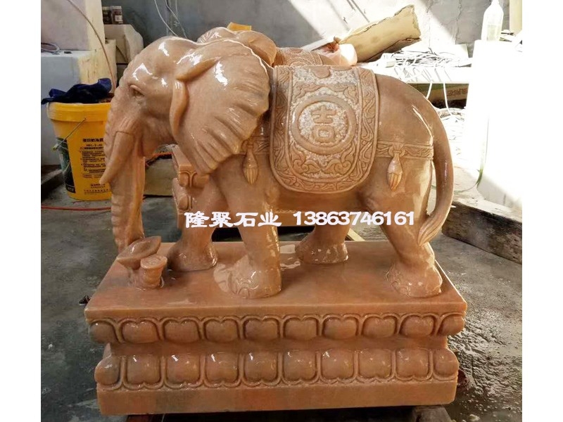 大象7