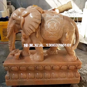 大象7